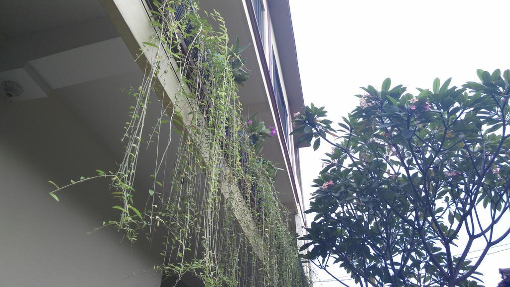 Nyoman Badri Homestay Ubud Eksteriør billede
