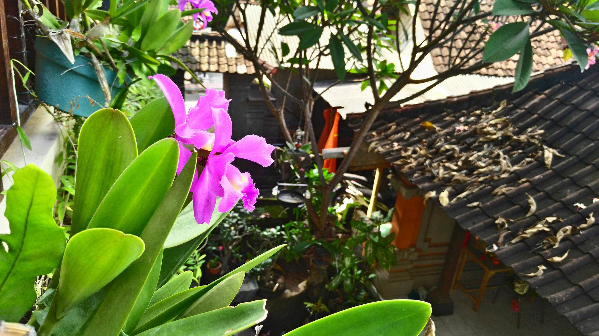 Nyoman Badri Homestay Ubud Eksteriør billede